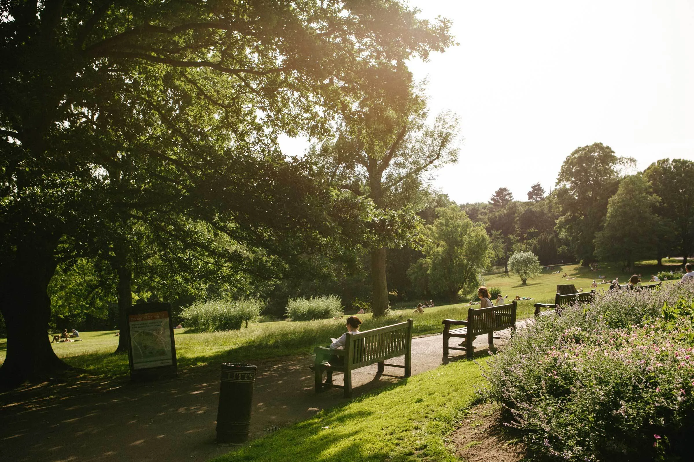 A row of three empty benches in a row along a path in a park surrounded by large trees.